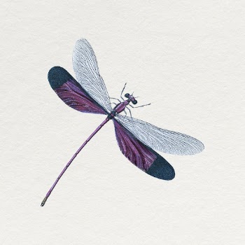 Purple dragonfly clipart, insect illustration | Free Photo - rawpixel
