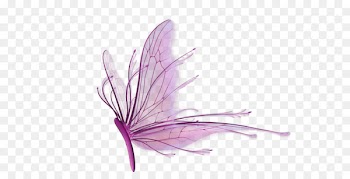 Purple Dragonfly - Purple dragonfly 