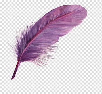 Purple feather, Feather Icon, feather transparent background PNG clipart