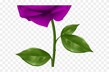Purple Flower Clipart Purple Rose - Purple Rose Clip Art