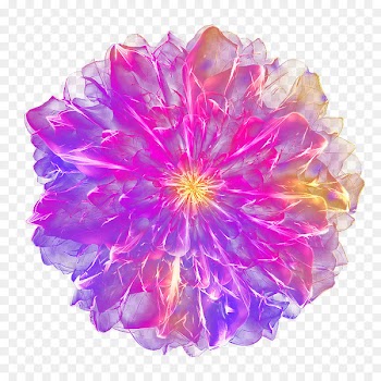 Purple Flower - Dream purple flower top view 