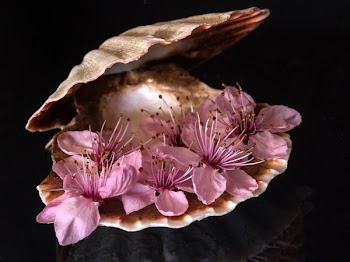 Purple Flower Inside Sea Clamp