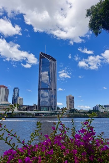 Purple Flower Near Body of Water and High Rise Building