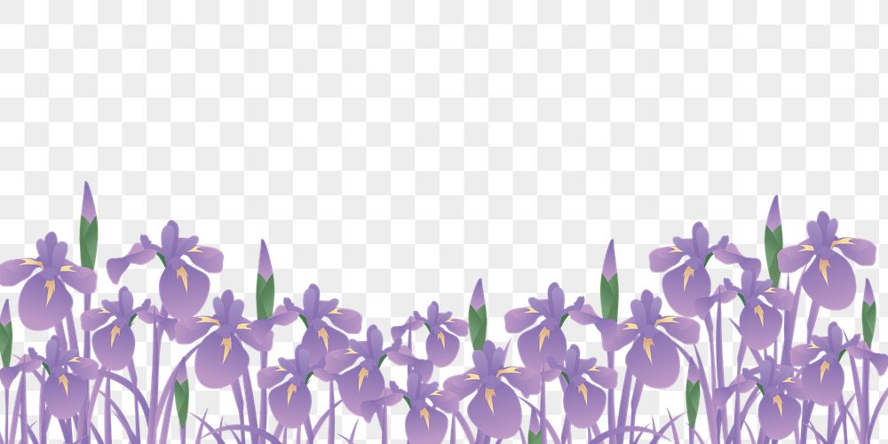 Purple flower png border, Spring | Free PNG - rawpixel