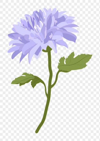 Purple flower png sticker, chrysanthemum | Free PNG - rawpixel