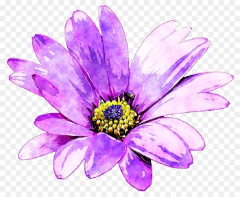 Purple Flower Watercolor painting - Purple daisies 
