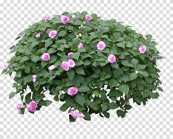 Purple flowers, Flowerpot Flower garden Plant, Flower pattern transparent background PNG clipart