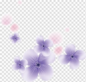 Purple flowers , Petal Purple Flower, Falling Flowers transparent background PNG clipart