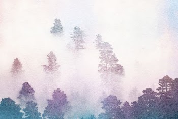 Purple forest background, foggy nature | Free Photo Illustration - rawpixel