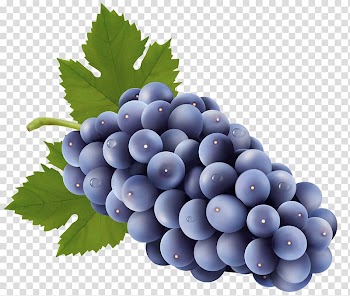 Purple grape fruit illustration, Sultana Grape , Grapes Free transparent background PNG clipart