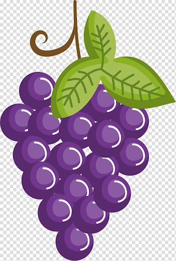Purple grapes illustration, Grape Drawing Cartoon Fruit, Purple cartoon grapes transparent background PNG clipart