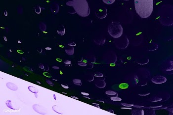 Purple infectious coronavirus outbreak  | Free  illustration - 2326158