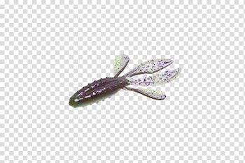 Purple Jewellery, pumpkin seeds bait transparent background PNG clipart