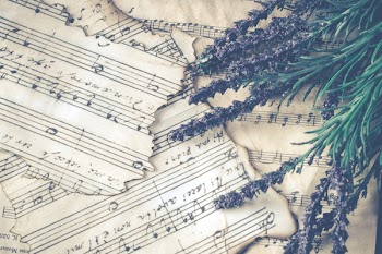 Purple Lavender Over Note Pages