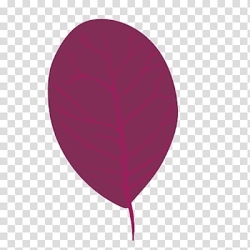 Purple leaf illustration transparent background PNG clipart