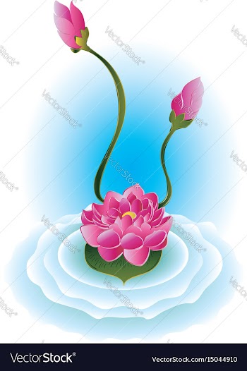 Purple lotus flower vector image