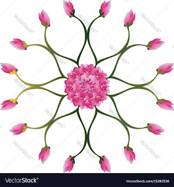 Purple lotus flower vector image