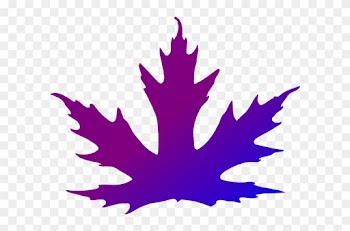 Purple Maple Leaf Clipart