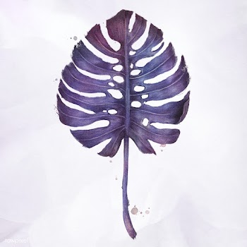 Purple monstera leaf watercolor style illustration | Free  illustration - 2341454