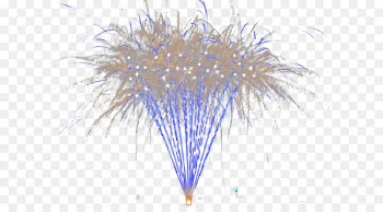 Purple Pattern - Fireworks 