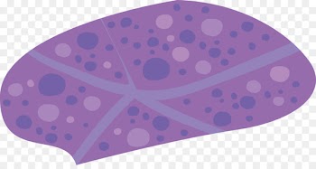 Purple Pattern - Purple starfish 