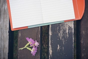 Purple Petaled Flower Beside White Line Paper on Black Wooden Desk