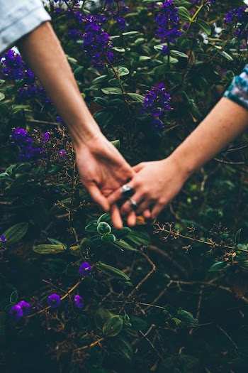 Purple-petaled Flowers