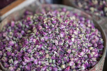 Purple-petaled Flowers