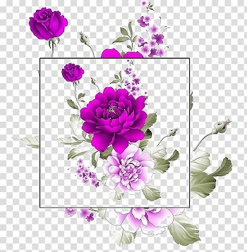 Purple petaled flowers art, Garden roses Beach rose Centifolia roses Flower Watercolor painting, Purple Peony Border transparent background PNG clipart
