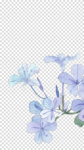 Purple petaled flowers , Blue Watercolor painting Flower, Watercolor flowers transparent background PNG clipart