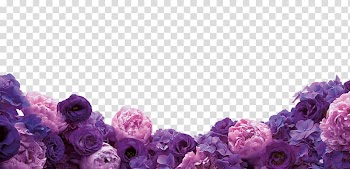 Purple petaled flowers, Floral design Cut flowers Purple , Purple flowers transparent background PNG clipart