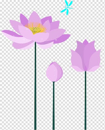 Purple, Purple lotus transparent background PNG clipart