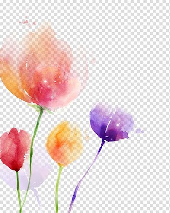 Purple, red, and orange flowers illustration, South Korea Watercolor painting Flower, tulip transparent background PNG clipart