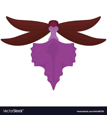 purple red colors orchid flower