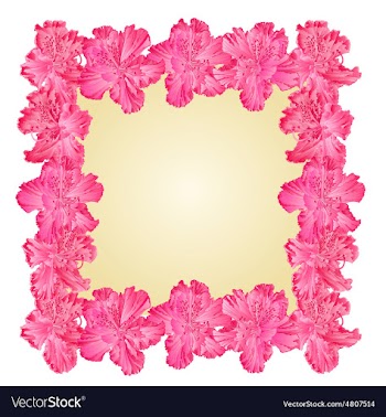 Purple rhododendron frame greeting card vector image