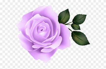 Purple Rose Clip Art Image-634361796 - Purple Roses Transparent Png