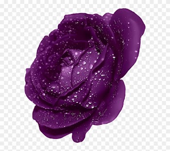 Purple Rose Clipart Blue Rose - Clip Art Purple Rose