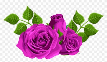 Purple Rose Clipart - Pink Roses Png