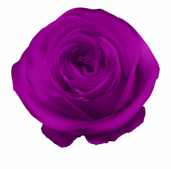 Purple Rose Png Free PNG Images & Clipart Download #977134 ...