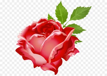 Purple Rose Tom Baxter Clip art - Rose Red PNG Clip Art Image 