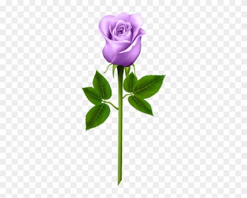 Purple Rose Transparent Png Image - Word Cards For Parts Of A Plant