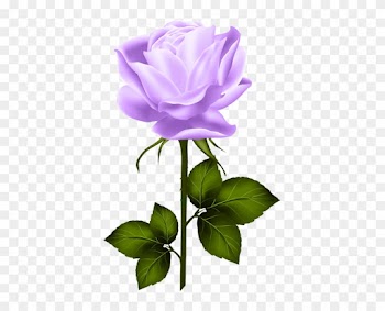 Purple Rose With Stem Png Clip Art - Rose Yellow Png