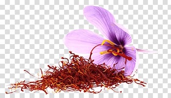 Purple saffron crocus art, Saffron Flower transparent background PNG clipart
