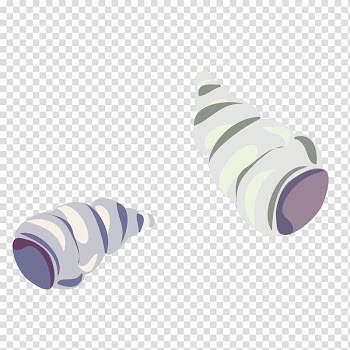 Purple Sea snail Conch, Purple Conch transparent background PNG clipart