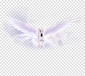 Purple Sky Beak , White Pegasus material transparent background PNG clipart