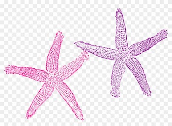 Purple Star Cliparts 26, Buy Clip Art - Beach Wedding Welcome Bag