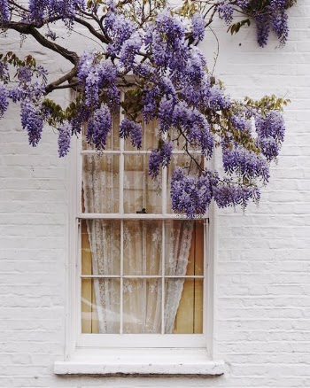 Purple Tree · Free Stock Photo