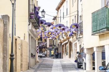 Purple Umbrellas Lining on Top of Grey Concrete Road