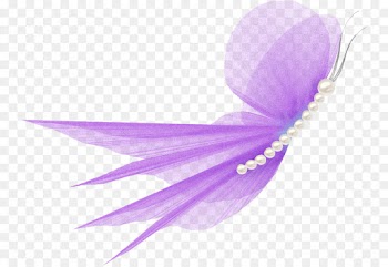 Purple, Violet PNG