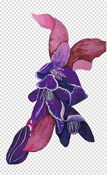 Purple Violet , violet transparent background PNG clipart